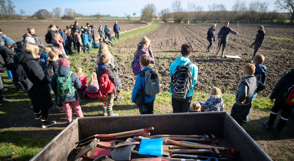Skolebørn i Østrup sogn hjælper med at plante træerne til en ny kirkeskov
